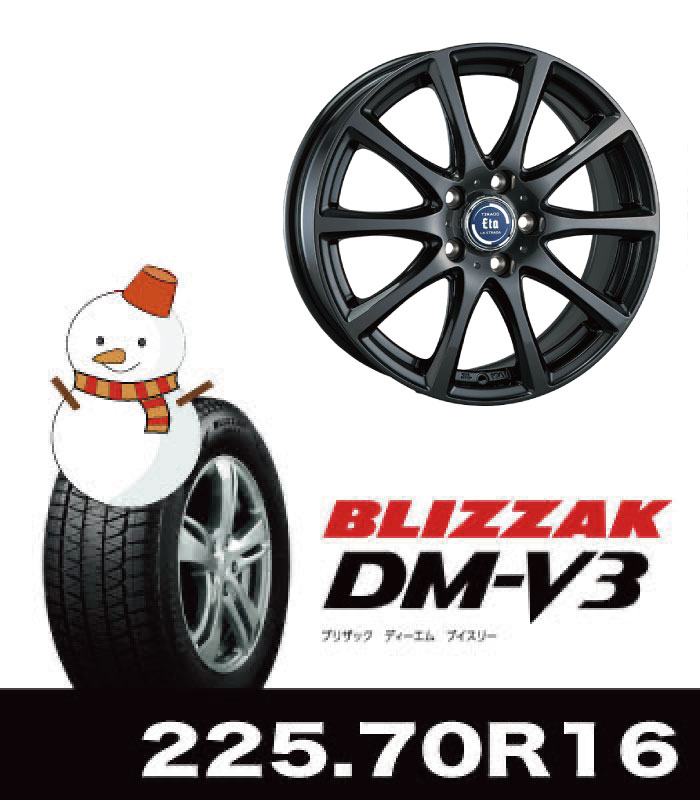 ﾃｨﾗｰﾄﾞｲｰﾀ＆DM-V3 225/70R16セット